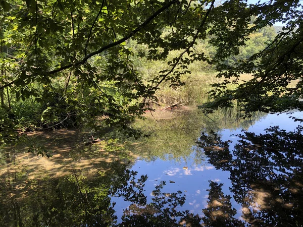 Lagos Artificiais Uma Floresta Parque Jankovac Umjetna Jezera Parque Sumi — Fotografia de Stock