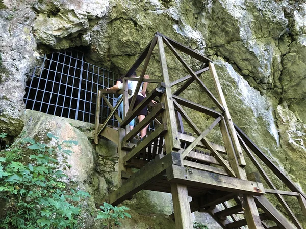 Bir Park orman Jankovac veya Grobnica Josipa pl. Jankovica u Park sumi Jankovac kont Josip Jankoviç Crypt - Papuk doğa parkı, Hırvatistan