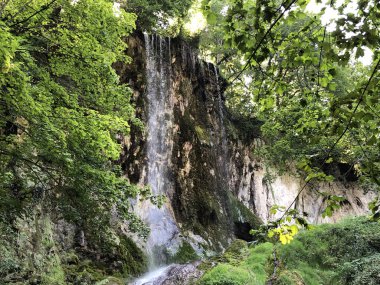 Şelale Skakavac bir Park orman Jankovac veya Tokat Skakavac u Park sumi Jankovac - Papuk doğa parkı, Hırvatistan