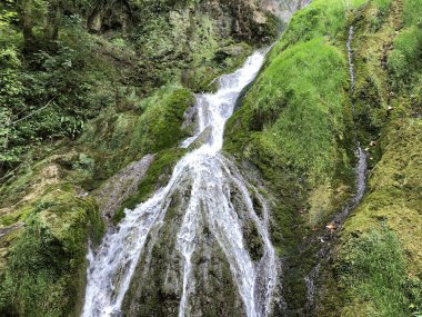 Şelale Skakavac bir Park orman Jankovac veya Tokat Skakavac u Park sumi Jankovac - Papuk doğa parkı, Hırvatistan