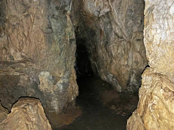 Cueva Maksims Bosque Parque Jankovac Spilja Maksima Bojanica Ili Maksimova — Foto de Stock