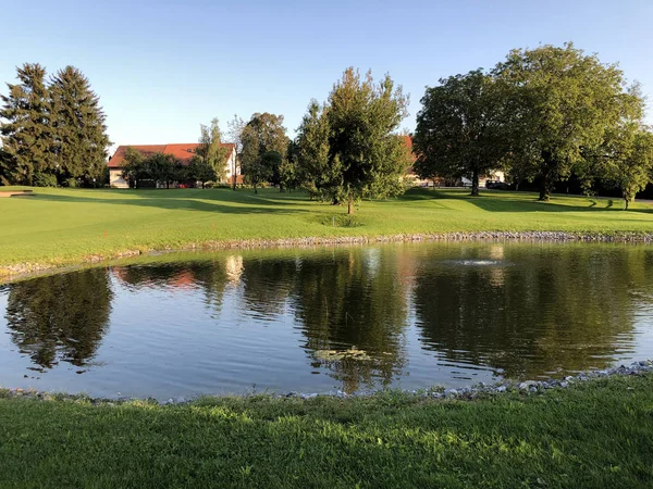 Kis Golfpályán Breitenloo Vagy Seeli Golfplatz Breitenloo Oberwil Bei Nurensdorf — Stock Fotó