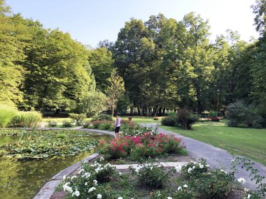 Spa bahçesi Julijes park veya Ljecilisni perivoj Julijev park - Daruvar, Hırvatistan