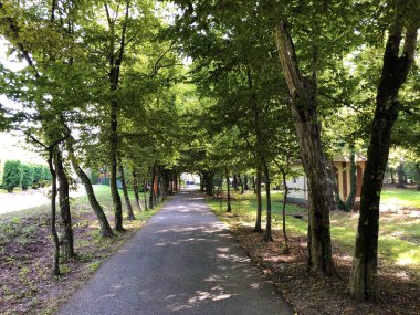 Spa bahçesi Julijes park veya Ljecilisni perivoj Julijev park - Daruvar, Hırvatistan