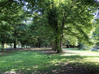 Spa bahçesi Julijes park veya Ljecilisni perivoj Julijev park - Daruvar, Hırvatistan