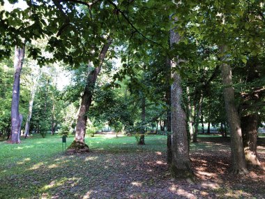 Spa bahçesi Julijes park veya Ljecilisni perivoj Julijev park - Daruvar, Hırvatistan