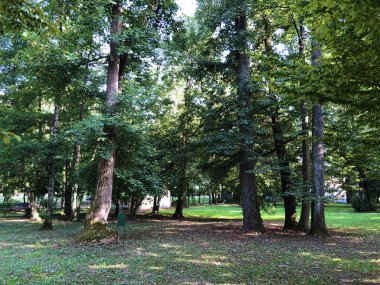 Spa bahçesi Julijes park veya Ljecilisni perivoj Julijev park - Daruvar, Hırvatistan