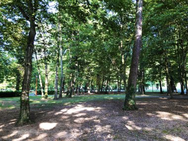 Spa bahçesi Julijes park veya Ljecilisni perivoj Julijev park - Daruvar, Hırvatistan