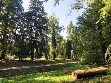 Spa bahçesi Julijes park veya Ljecilisni perivoj Julijev park - Daruvar, Hırvatistan