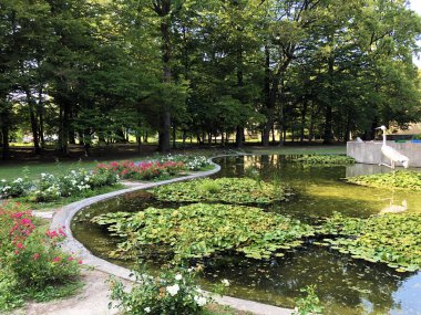 Spa bahçe Julijes park veya Umjetno jezerce sa statuom zdrala u Julijevom parku vinç kuş heykeli ile küçük gölet - Daruvar, Hırvatistan