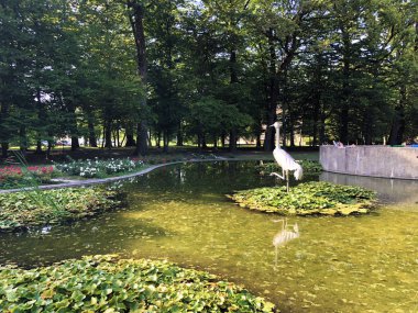 Spa bahçe Julijes park veya Umjetno jezerce sa statuom zdrala u Julijevom parku vinç kuş heykeli ile küçük gölet - Daruvar, Hırvatistan