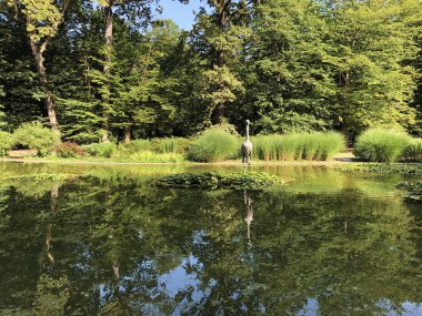 Spa bahçe Julijes park veya Umjetno jezerce sa statuom zdrala u Julijevom parku vinç kuş heykeli ile küçük gölet - Daruvar, Hırvatistan