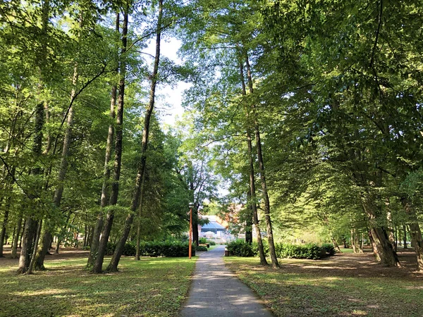 Ogród Zdrojowy Julijes Park Lub Ljecilisni Perivoj Julijev Park Daruvar — Zdjęcie stockowe