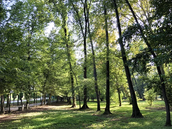 Spa Garden Julijes Park Ljecilisni Perivoj Julijev Park Daruvar Croácia — Fotografia de Stock