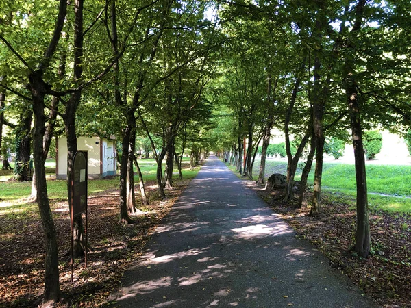 Spa Garden Julijes Park Eller Ljecilisni Perivoj Julijev Park Daruvar — Stockfoto