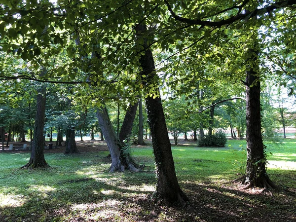 Spa Jardín Julijes Parque Ljecilisni Perivoj Julijev Parque Daruvar Croacia — Foto de Stock