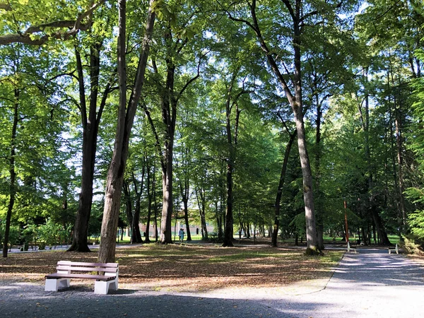 Πάρκο Ιουλιάζ Ljecilisni Perivoj Πάρκο Julijev Daruvar Κροατία — Φωτογραφία Αρχείου