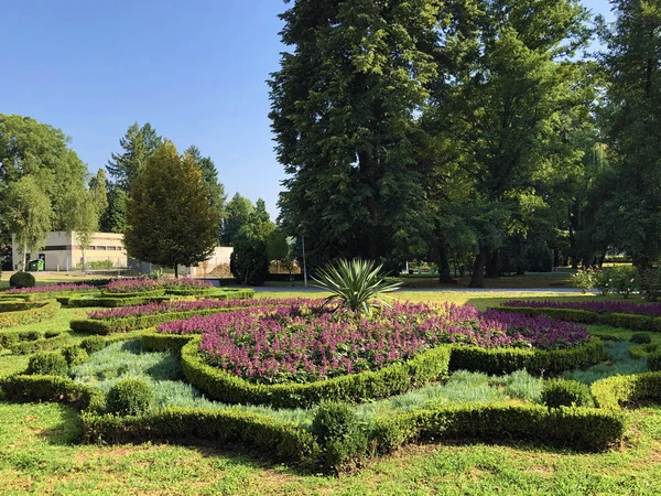 Ogród Zdrojowy Julijes Park Lub Ljecilisni Perivoj Julijev Park Daruvar — Zdjęcie stockowe