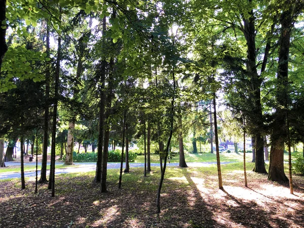 Kurpark Julijes Park Oder Ljecilisni Perivoj Julijev Park Daruvar Kroatien — Stockfoto