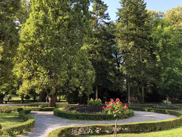 Spa Garden Julijes Park Eller Ljecilisni Perivoj Julijev Park Daruvar — Stockfoto