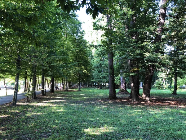 Spa Bahçesi Julijes Park Veya Ljecilisni Perivoj Julijev Park Daruvar — Stok fotoğraf