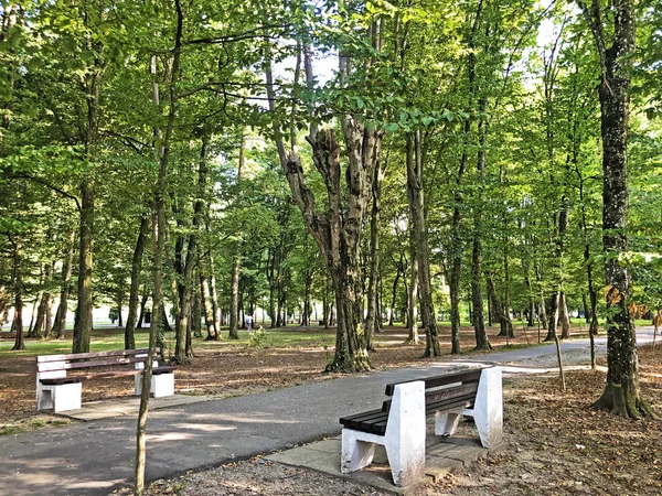 Spa Bahçesi Julijes Park Veya Ljecilisni Perivoj Julijev Park Daruvar — Stok fotoğraf