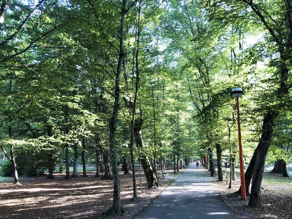 Kurpark Julijes Park Oder Ljecilisni Perivoj Julijev Park Daruvar Kroatien — Stockfoto