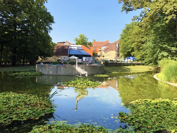 Kleine Vijver Met Kraanvogel Standbeeld Spa Tuin Julijes Park Umjetno — Stockfoto