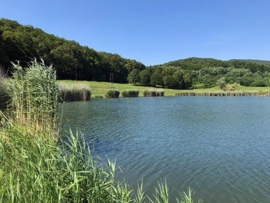 Küçük rezervuar gölü Ljeskove vode veya eğlence Ljeskovac - Akumulacijsko jezero, ribnjak i izletiste Ljeskove vode, Kordusevci - Slavonski Brod, Hırvatistan