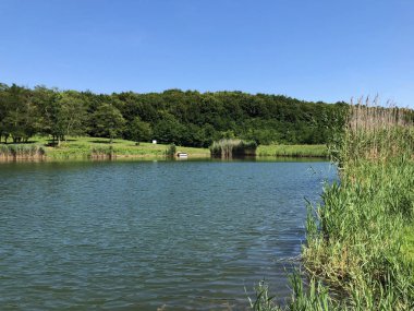 Küçük rezervuar gölü Ljeskove vode veya eğlence Ljeskovac - Akumulacijsko jezero, ribnjak i izletiste Ljeskove vode, Kordusevci - Slavonski Brod, Hırvatistan
