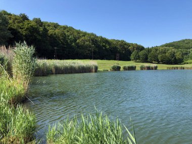 Küçük rezervuar gölü Ljeskove vode veya eğlence Ljeskovac - Akumulacijsko jezero, ribnjak i izletiste Ljeskove vode, Kordusevci - Slavonski Brod, Hırvatistan