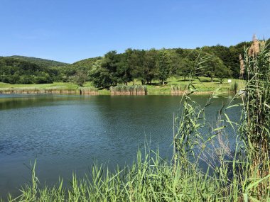 Küçük rezervuar gölü Ljeskove vode veya eğlence Ljeskovac - Akumulacijsko jezero, ribnjak i izletiste Ljeskove vode, Kordusevci - Slavonski Brod, Hırvatistan