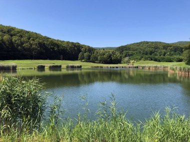 Küçük rezervuar gölü Ljeskove vode veya eğlence Ljeskovac - Akumulacijsko jezero, ribnjak i izletiste Ljeskove vode, Kordusevci - Slavonski Brod, Hırvatistan