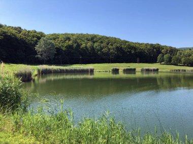 Küçük rezervuar gölü Ljeskove vode veya eğlence Ljeskovac - Akumulacijsko jezero, ribnjak i izletiste Ljeskove vode, Kordusevci - Slavonski Brod, Hırvatistan