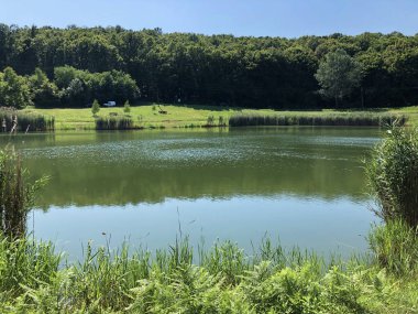 Küçük rezervuar gölü Ljeskove vode veya eğlence Ljeskovac - Akumulacijsko jezero, ribnjak i izletiste Ljeskove vode, Kordusevci - Slavonski Brod, Hırvatistan