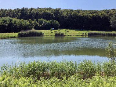 Küçük rezervuar gölü Ljeskove vode veya eğlence Ljeskovac - Akumulacijsko jezero, ribnjak i izletiste Ljeskove vode, Kordusevci - Slavonski Brod, Hırvatistan