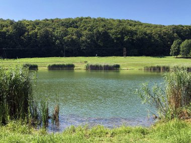 Küçük rezervuar gölü Ljeskove vode veya eğlence Ljeskovac - Akumulacijsko jezero, ribnjak i izletiste Ljeskove vode, Kordusevci - Slavonski Brod, Hırvatistan