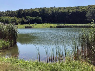 Küçük rezervuar gölü Ljeskove vode veya eğlence Ljeskovac - Akumulacijsko jezero, ribnjak i izletiste Ljeskove vode, Kordusevci - Slavonski Brod, Hırvatistan