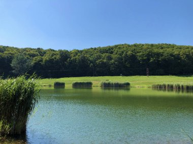 Küçük rezervuar gölü Ljeskove vode veya eğlence Ljeskovac - Akumulacijsko jezero, ribnjak i izletiste Ljeskove vode, Kordusevci - Slavonski Brod, Hırvatistan