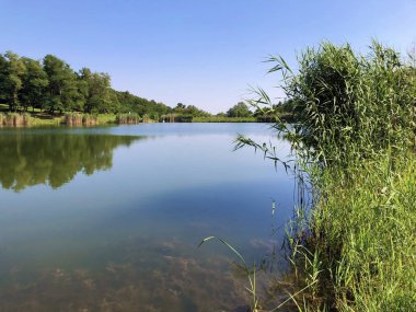Küçük rezervuar gölü Ljeskove vode veya eğlence Ljeskovac - Akumulacijsko jezero, ribnjak i izletiste Ljeskove vode, Kordusevci - Slavonski Brod, Hırvatistan