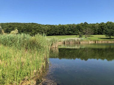 Küçük rezervuar gölü Ljeskove vode veya eğlence Ljeskovac - Akumulacijsko jezero, ribnjak i izletiste Ljeskove vode, Kordusevci - Slavonski Brod, Hırvatistan