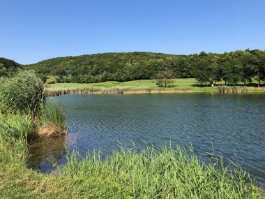 Küçük rezervuar gölü Ljeskove vode veya eğlence Ljeskovac - Akumulacijsko jezero, ribnjak i izletiste Ljeskove vode, Kordusevci - Slavonski Brod, Hırvatistan