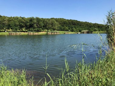 Küçük rezervuar gölü Ljeskove vode veya eğlence Ljeskovac - Akumulacijsko jezero, ribnjak i izletiste Ljeskove vode, Kordusevci - Slavonski Brod, Hırvatistan
