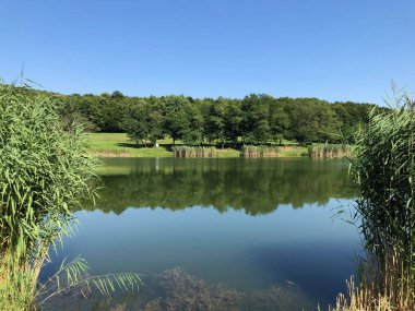 Küçük rezervuar gölü Ljeskove vode veya eğlence Ljeskovac - Akumulacijsko jezero, ribnjak i izletiste Ljeskove vode, Kordusevci - Slavonski Brod, Hırvatistan