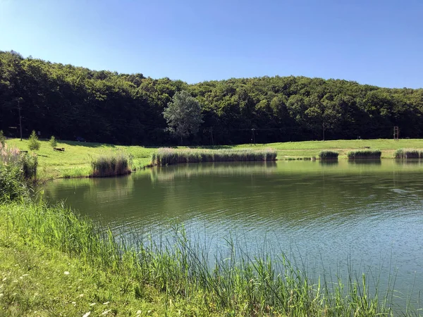 Küçük rezervuar gölü Ljeskove vode veya eğlence Ljeskovac - Akumulacijsko jezero, ribnjak i izletiste Ljeskove vode, Kordusevci - Slavonski Brod, Hırvatistan