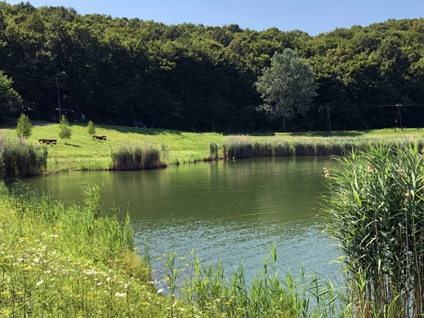 Küçük rezervuar gölü Ljeskove vode veya eğlence Ljeskovac - Akumulacijsko jezero, ribnjak i izletiste Ljeskove vode, Kordusevci - Slavonski Brod, Hırvatistan