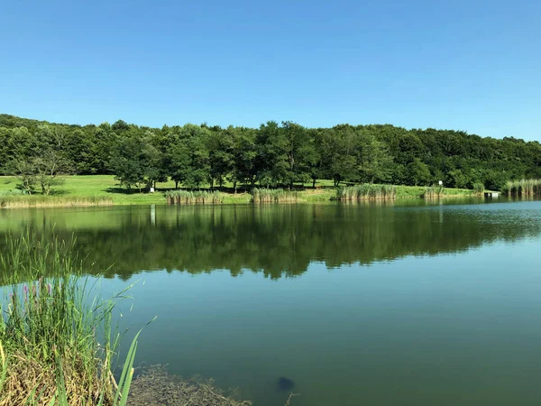 Küçük rezervuar gölü Ljeskove vode veya eğlence Ljeskovac - Akumulacijsko jezero, ribnjak i izletiste Ljeskove vode, Kordusevci - Slavonski Brod, Hırvatistan
