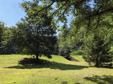 Orman parkı Jankovac veya Park suma Jankovac - Papuk doğa parkı, Hırvatistan