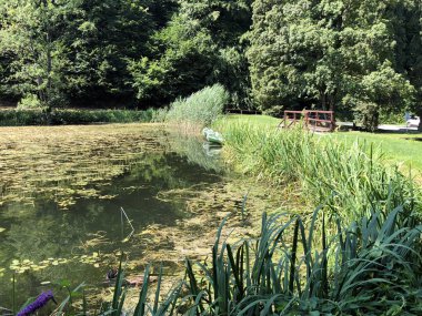 Bir Orman parkı Jankovac veya Umjetna jezera u Park sumi Jankovac yapay göller - Papuk doğa parkı, Hırvatistan