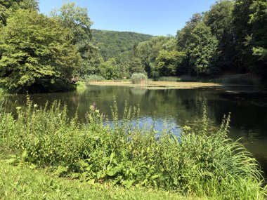 Bir Orman parkı Jankovac veya Umjetna jezera u Park sumi Jankovac yapay göller - Papuk doğa parkı, Hırvatistan